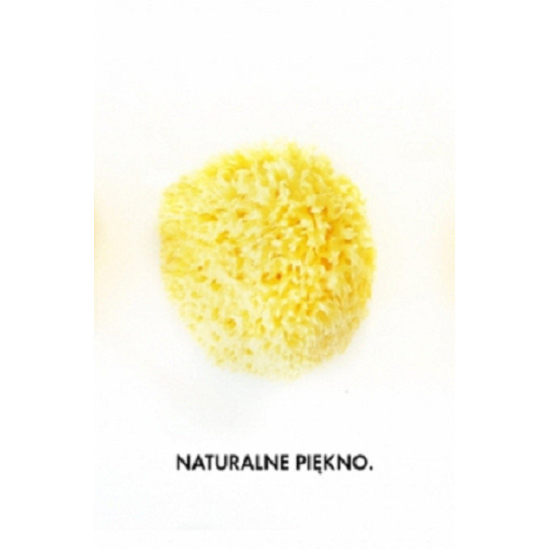 Lullalove Spa - Naturalna Gąbka Morska, king size