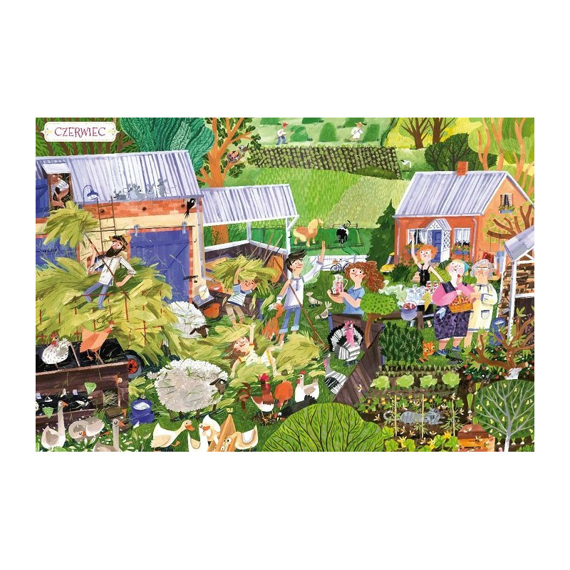 Książka Rok na wsi - Wydawnictwo Nasza Księgarnia