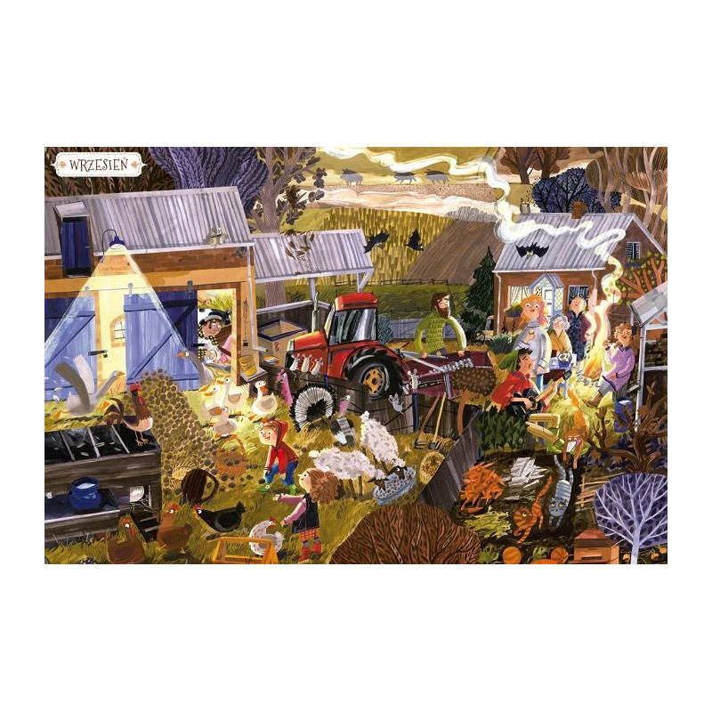 Książka Rok na wsi - Wydawnictwo Nasza Księgarnia