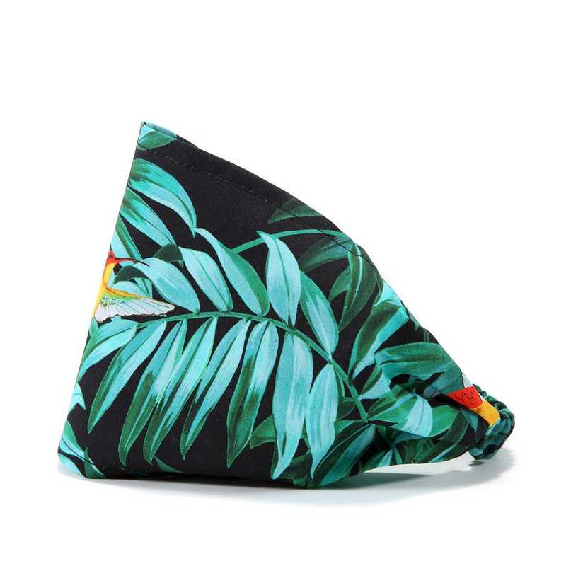 Bambusowa opaska średniaka, Colibri, La Millou