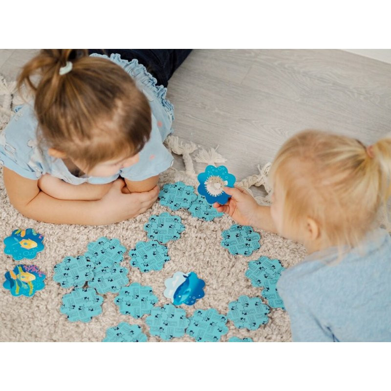 Gra memory, Ocean, Kapitan Nauka