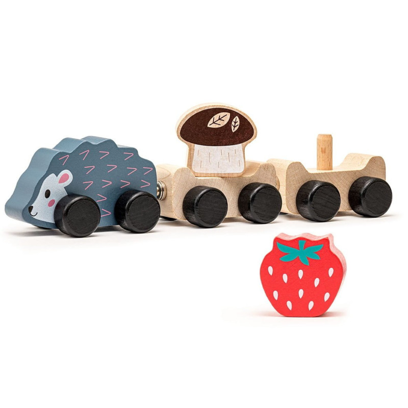 Cubika 15467,  pociąg na magnesy, Jeżyk