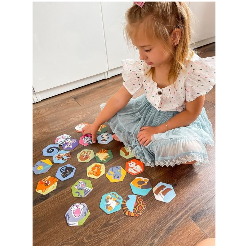 Gra memory, Kociaki, Kapitan Nauka