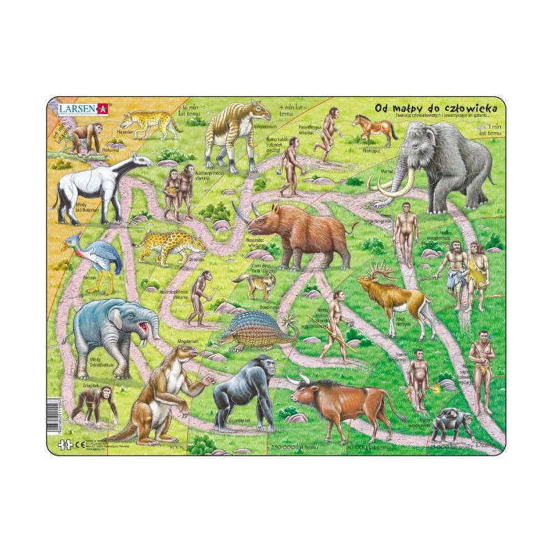 Larsen, puzzle edukacyjne, Od małpy do człowieka