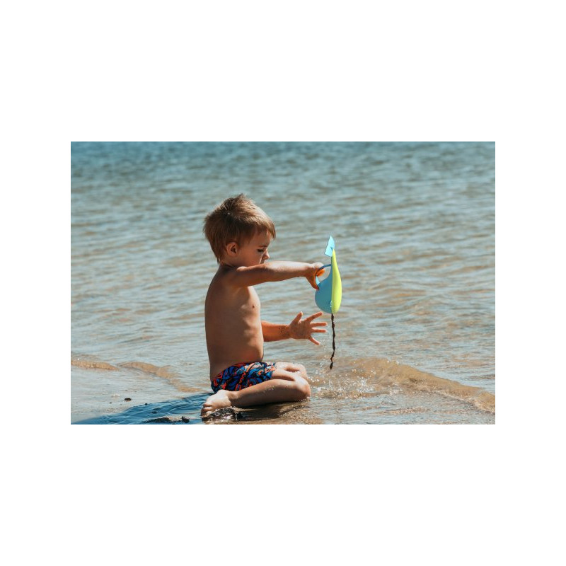 BiBio, Wieloryb DolBi fioletowy