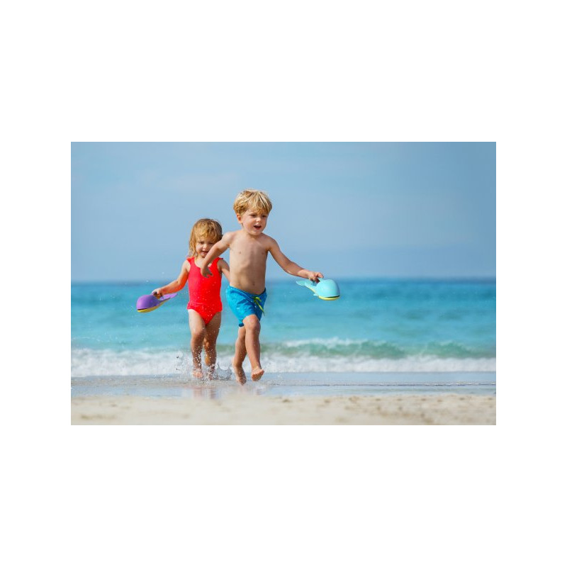 BiBio, Wieloryb DolBi fioletowy