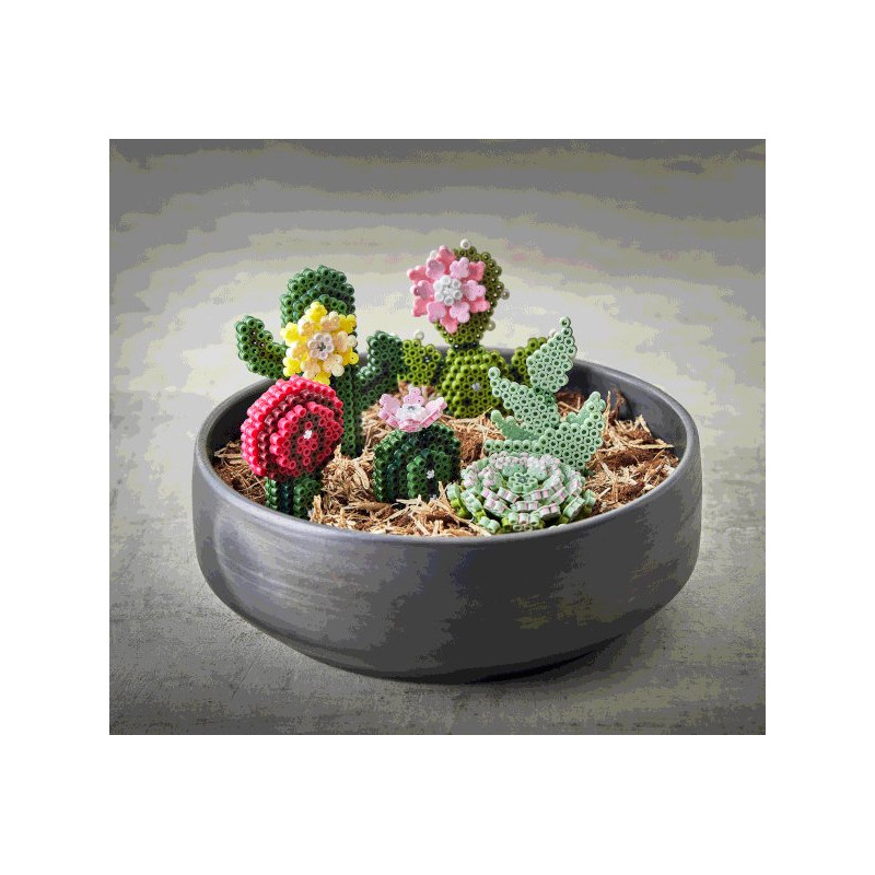 Hama art 3622, Kaktusy 3D