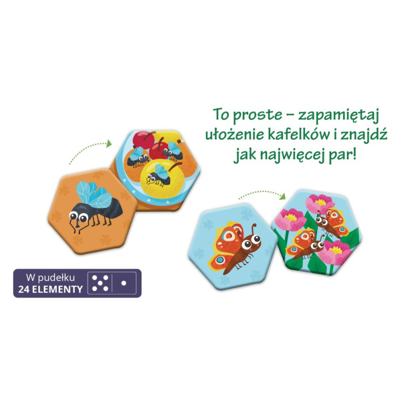 Memory, Owady i Robaczki, Kapitan Nauka