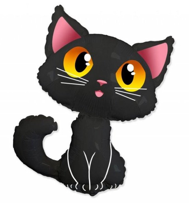 Balony zwierzęta domowe